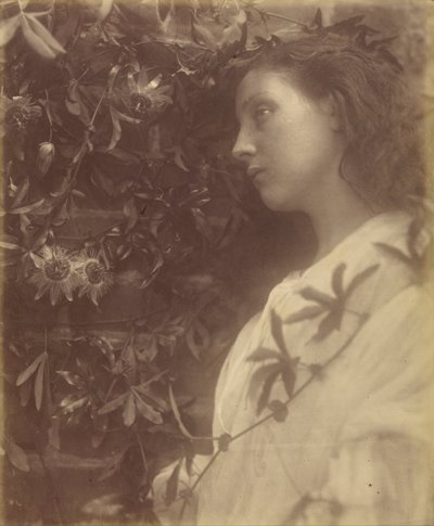 Maud, es ist eine prächtige Träne gefallen von der Passionsblume am Tor von Julia Margaret Cameron